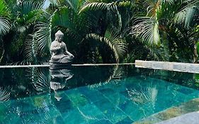 O Palm : Dans Un Petit Ecrin De Verdure